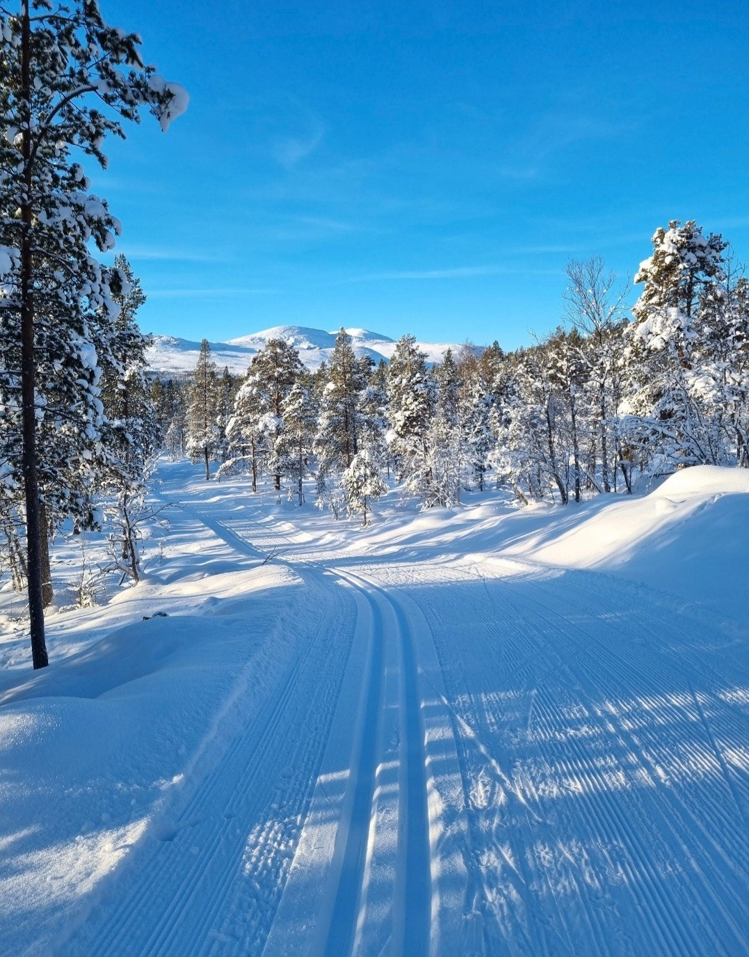 Maskinpreparerte løyper. Privat bilde. Galleribilde