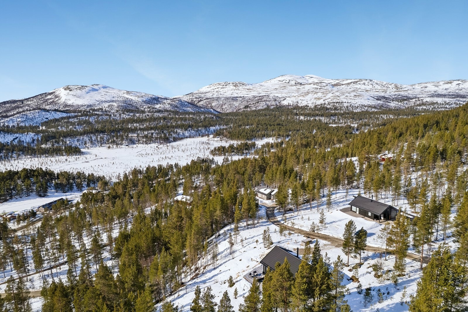 Meget fine fjellområder. Rødalshøa (1436 moh) kan sees i bakgrunnen. 20 minutters gåtur til fjelltopp med nydelig utsikt. Galleribilde