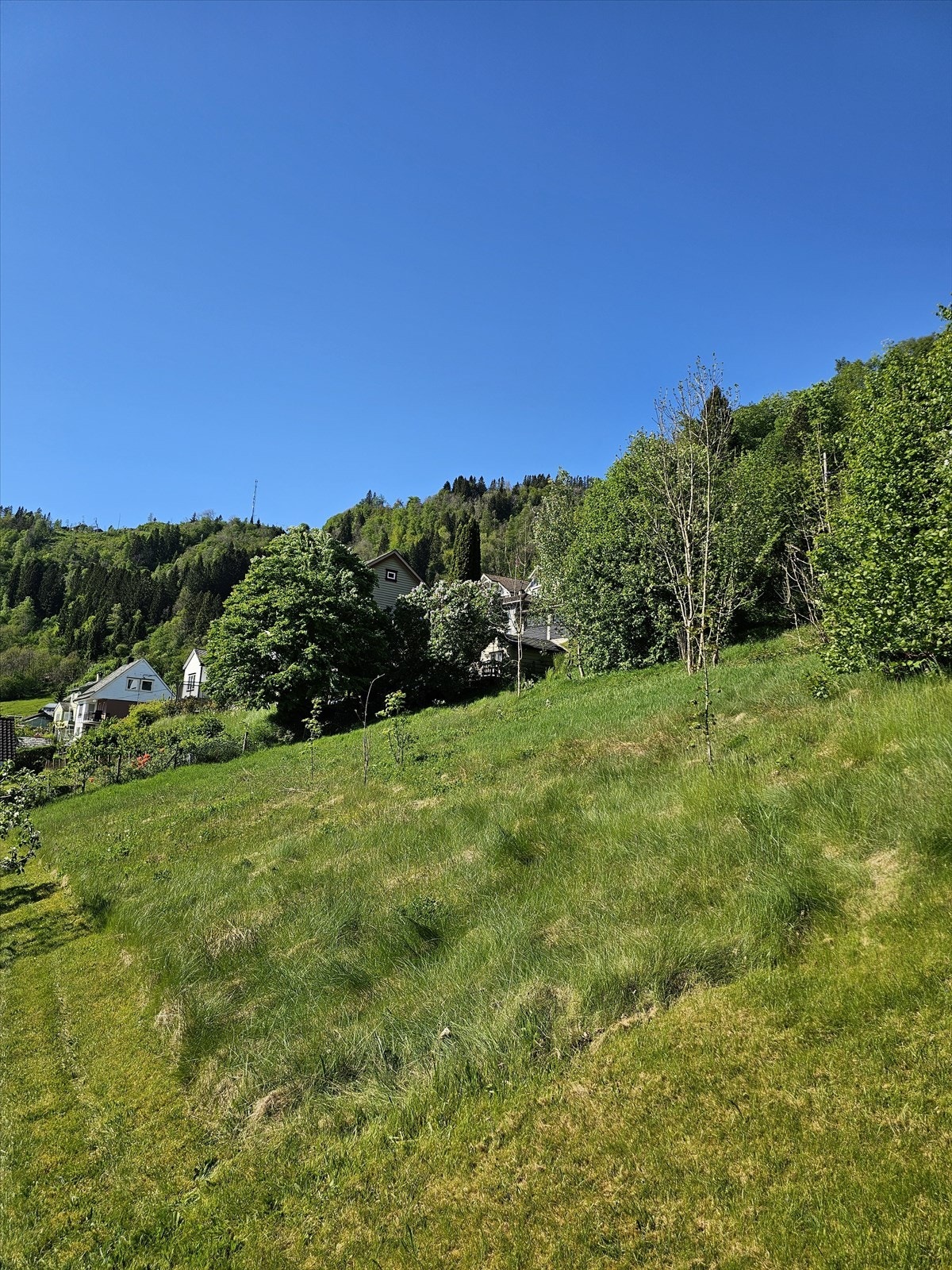 Det foreligger avtale med naboer om bygging av natursteinsmur. Galleribilde