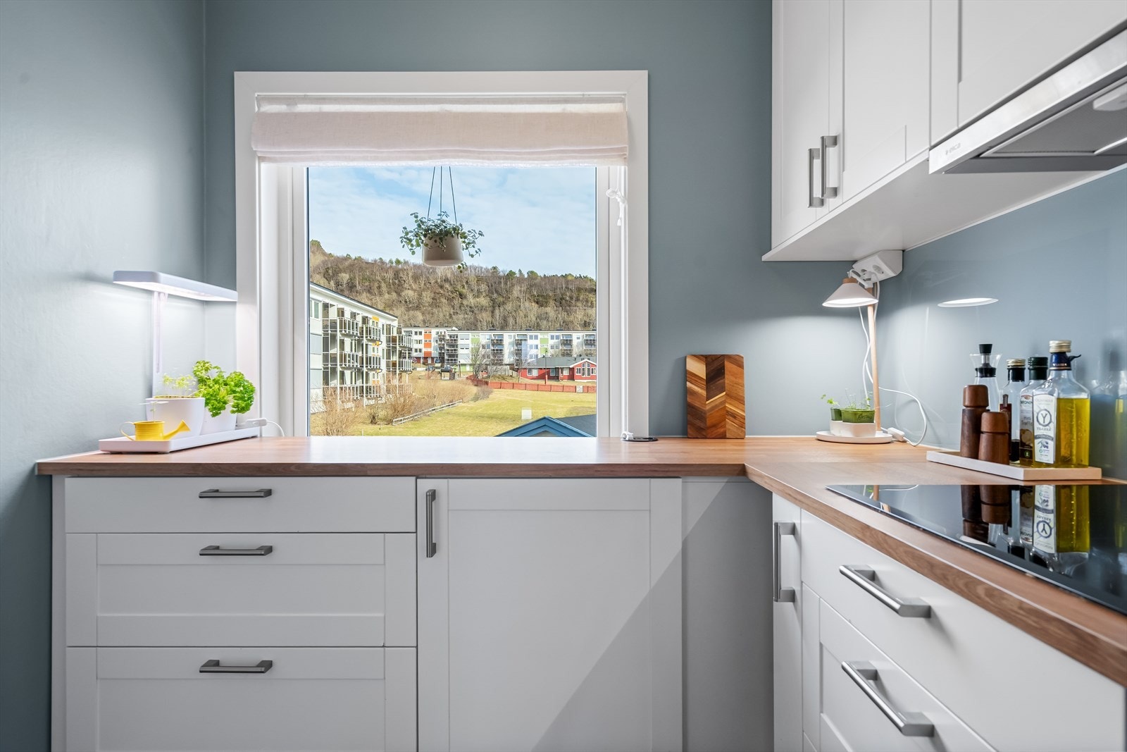 Også fra kjøkkenet nyter du frisikt over nærområdet Galleribilde