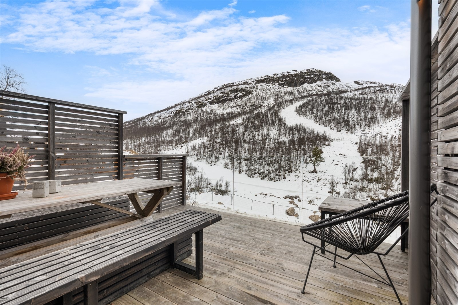 Flott utsikt mot fjellene Galleribilde