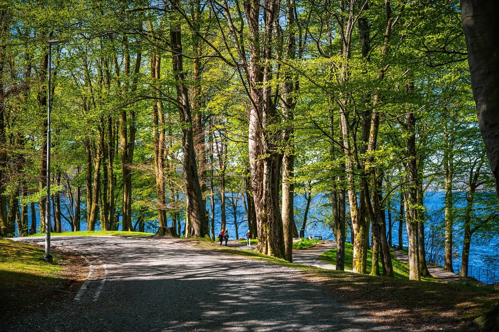 - Nordnesparken ligger rett i underkant av 30 minutters gange fra leiligheten - Galleribilde