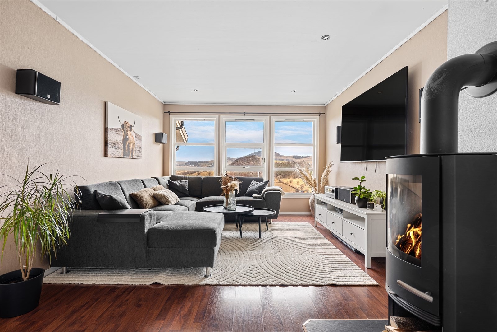 Lys og romslig stue med fantastisk utsikt. Galleribilde