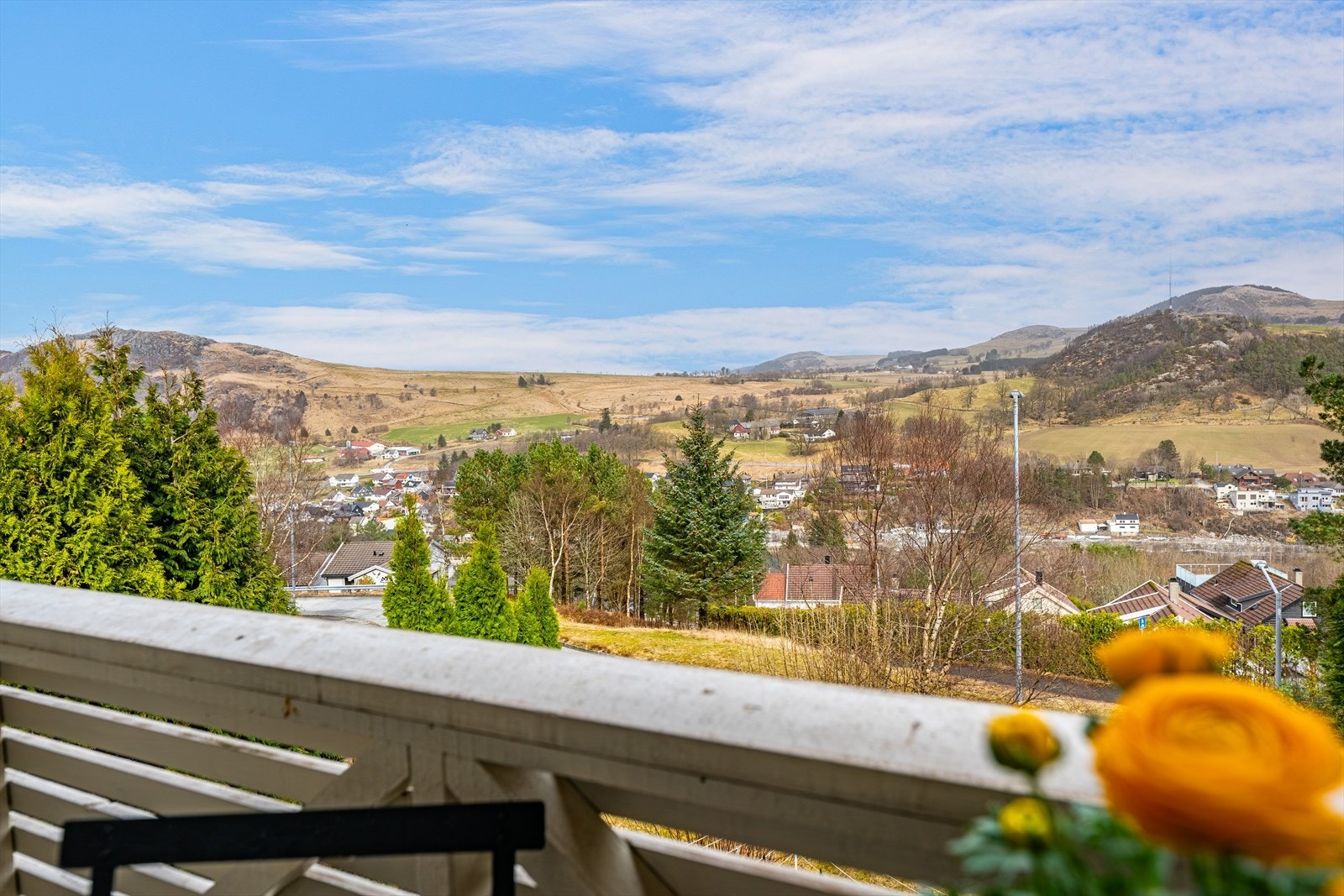 Utsikt. Galleribilde