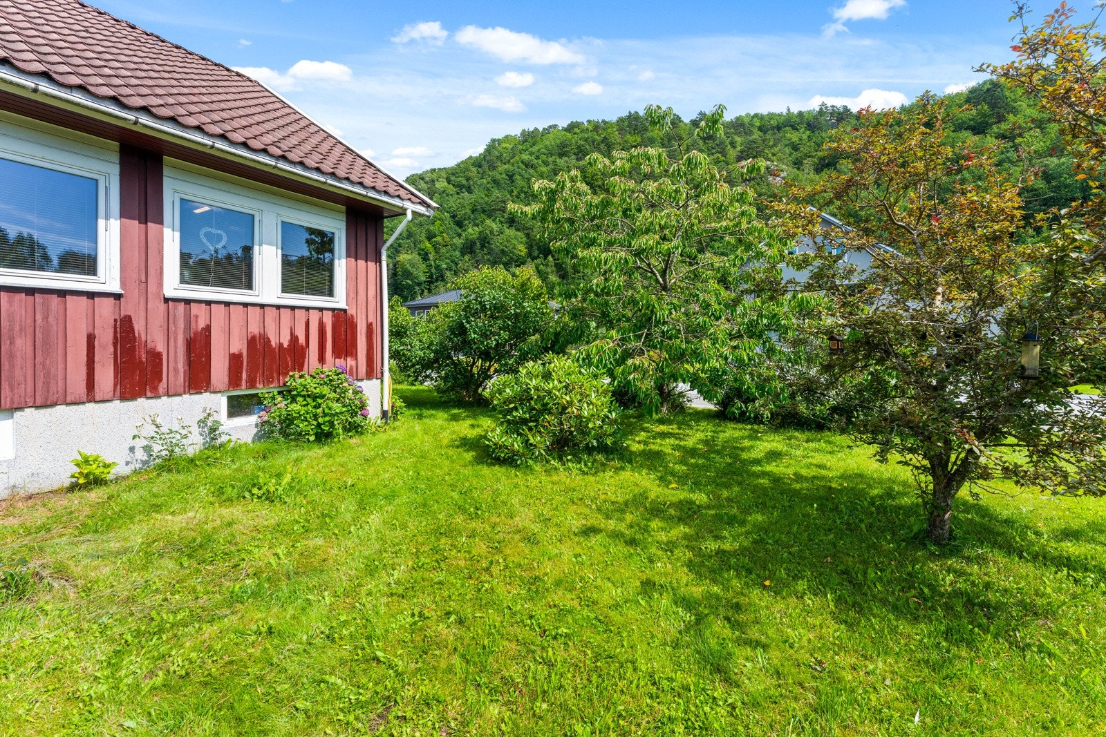 Det er gode solforhold på hele tomten. Galleribilde