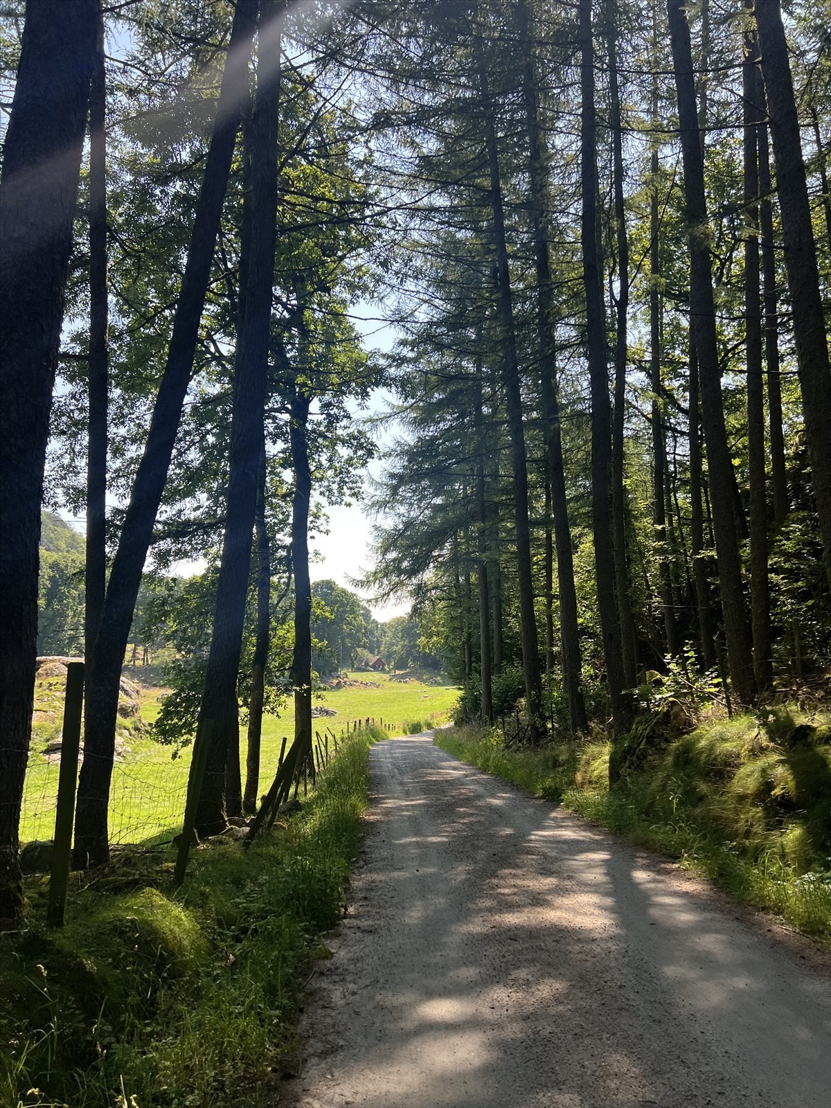 Underøy - Flott turområdet i nærområdet. Bilde tatt av selger Galleribilde