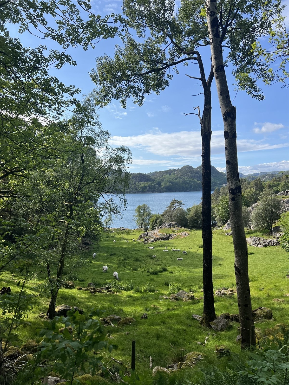 Underøy - Flott turområdet i nærområdet. Bilde tatt av selger Galleribilde