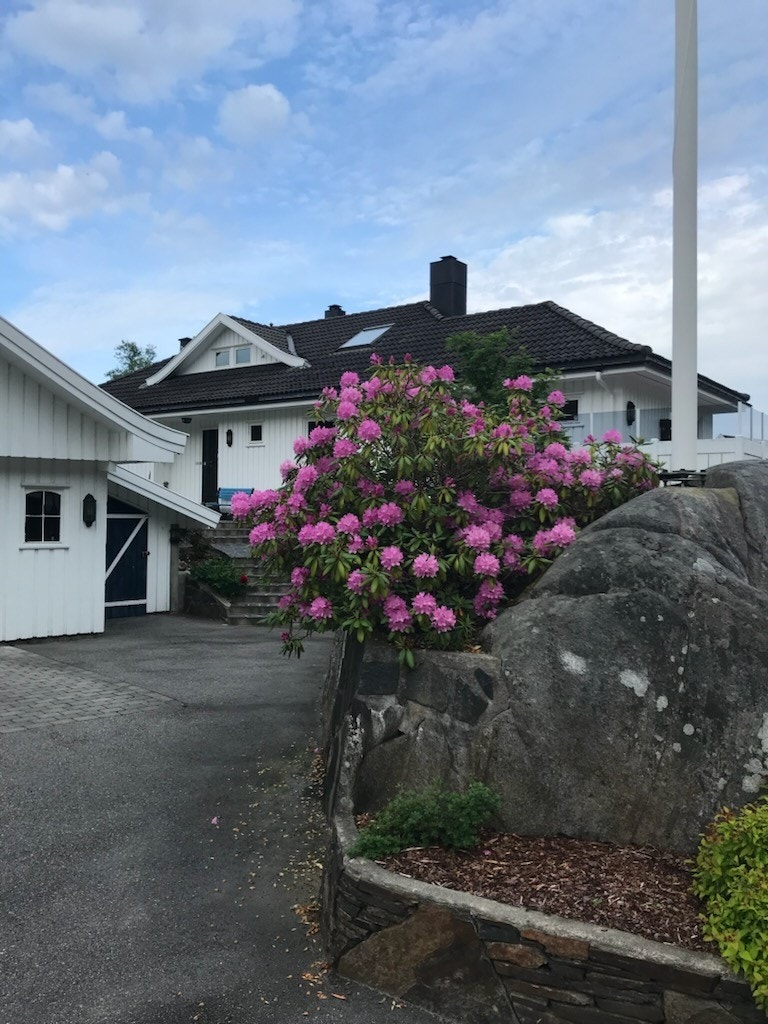 Privat bilde Galleribilde