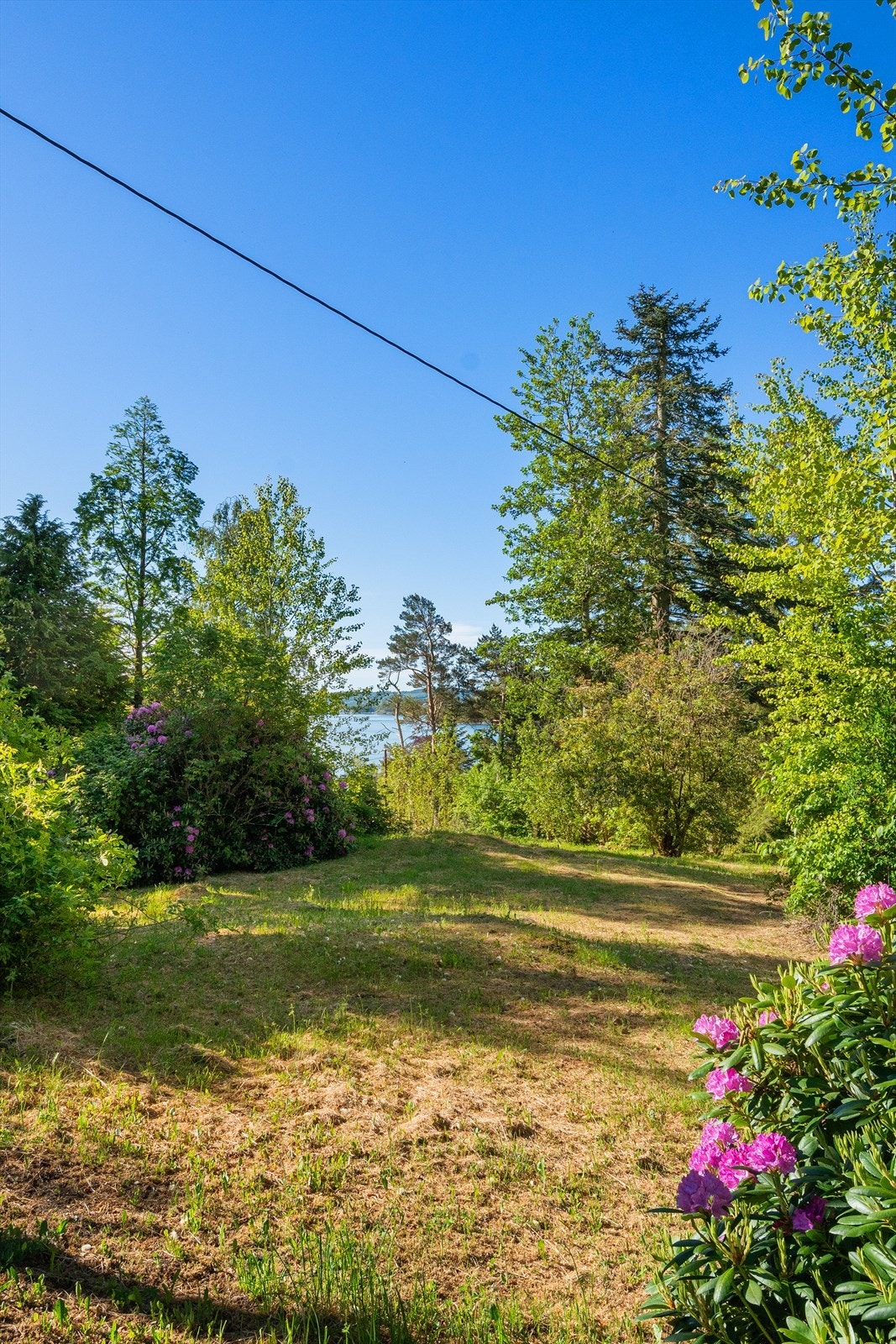 Fra hagen har man et fint glimt av sjøen gjennom vegetasjonen. Galleribilde