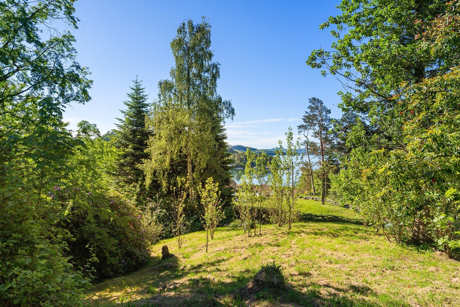 Eiendommen er omkranset av frodig, grønn natur. Galleribilde