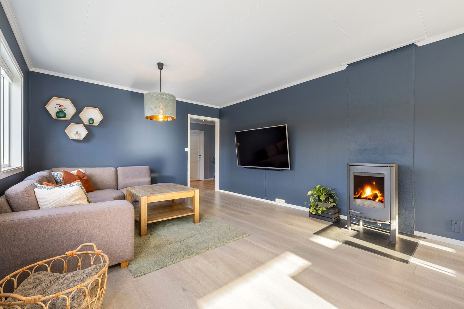 Vedovn og varmepumpe som varmekilder. Galleribilde