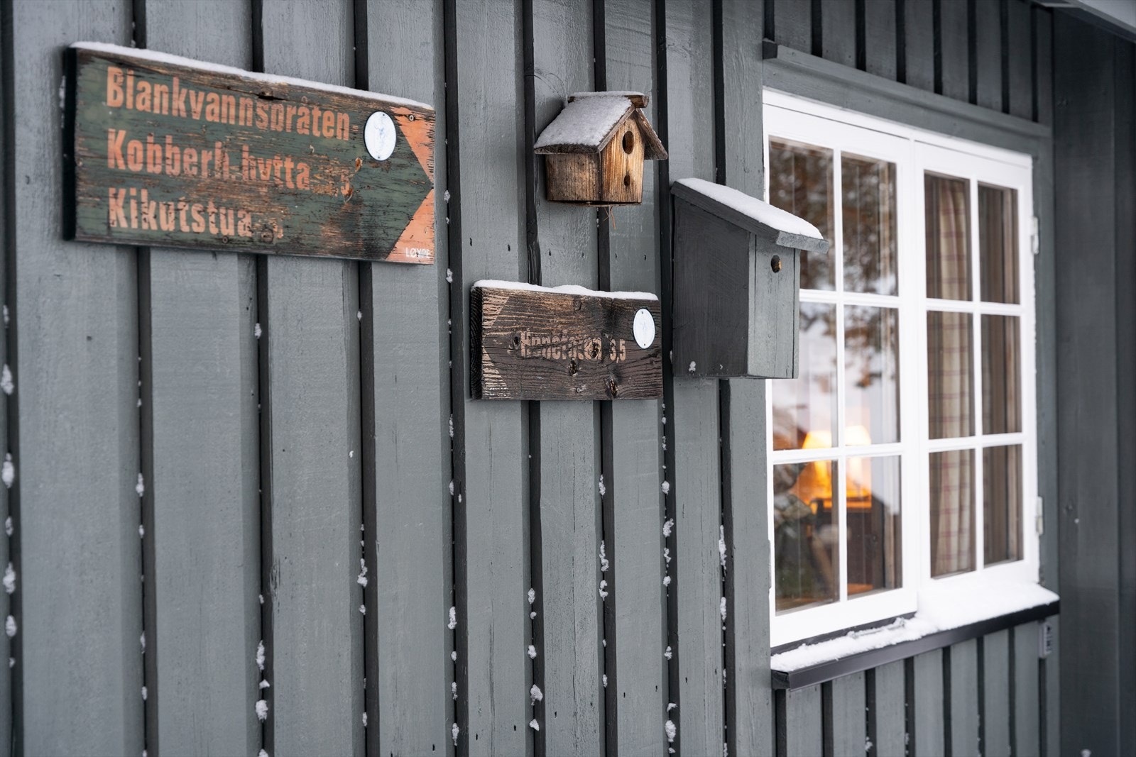 De flotte turløypene begynner rett utenfor hytta... Galleribilde