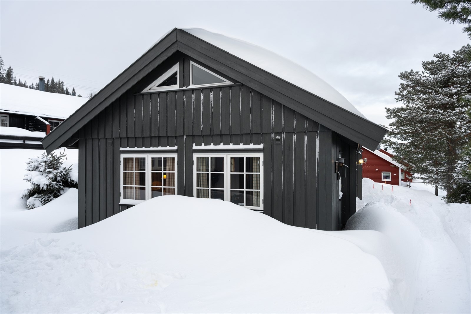 Fin tvillinghytte Galleribilde