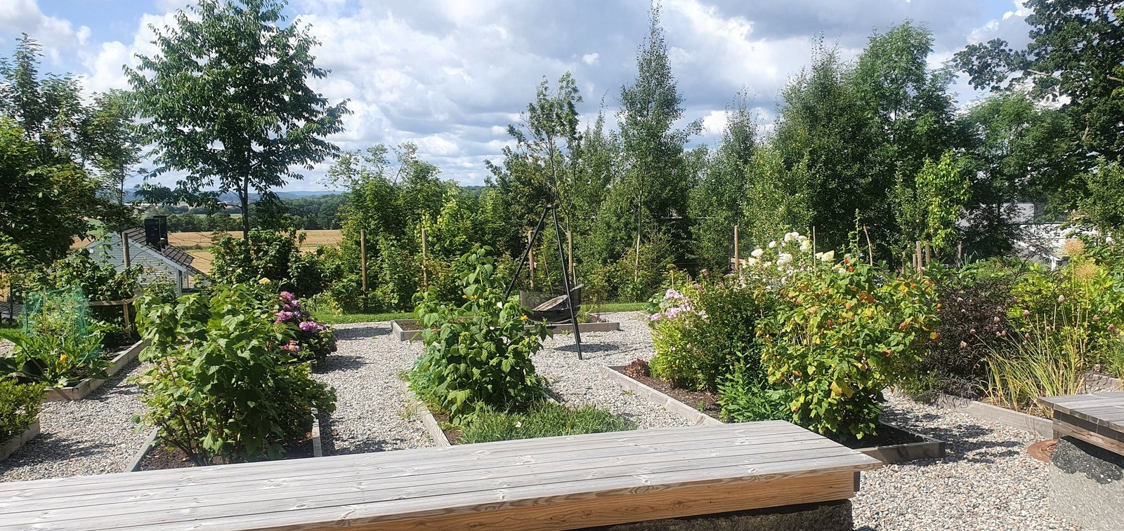 Fra den første etablerte parsellhagen, eiers bilde Galleribilde