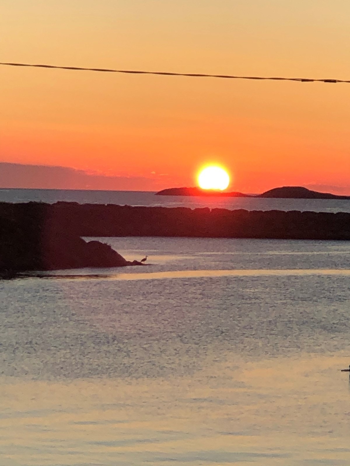 Privat bilde Galleribilde