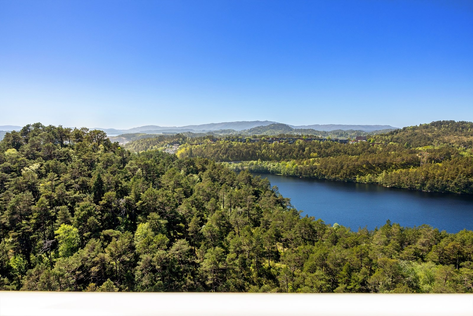 - Velkommen til visning! - Galleribilde