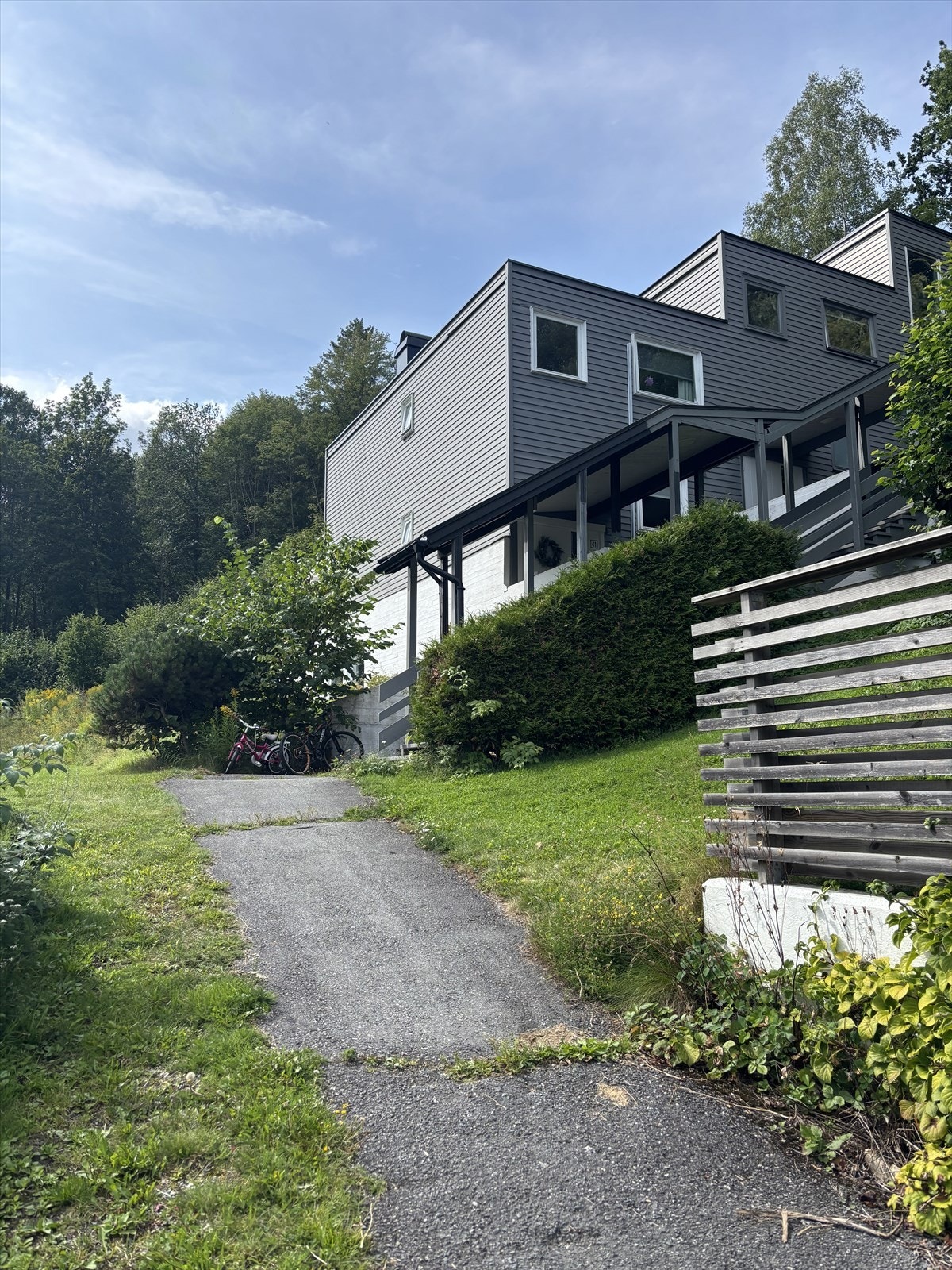 Selgers private bilder. Galleribilde
