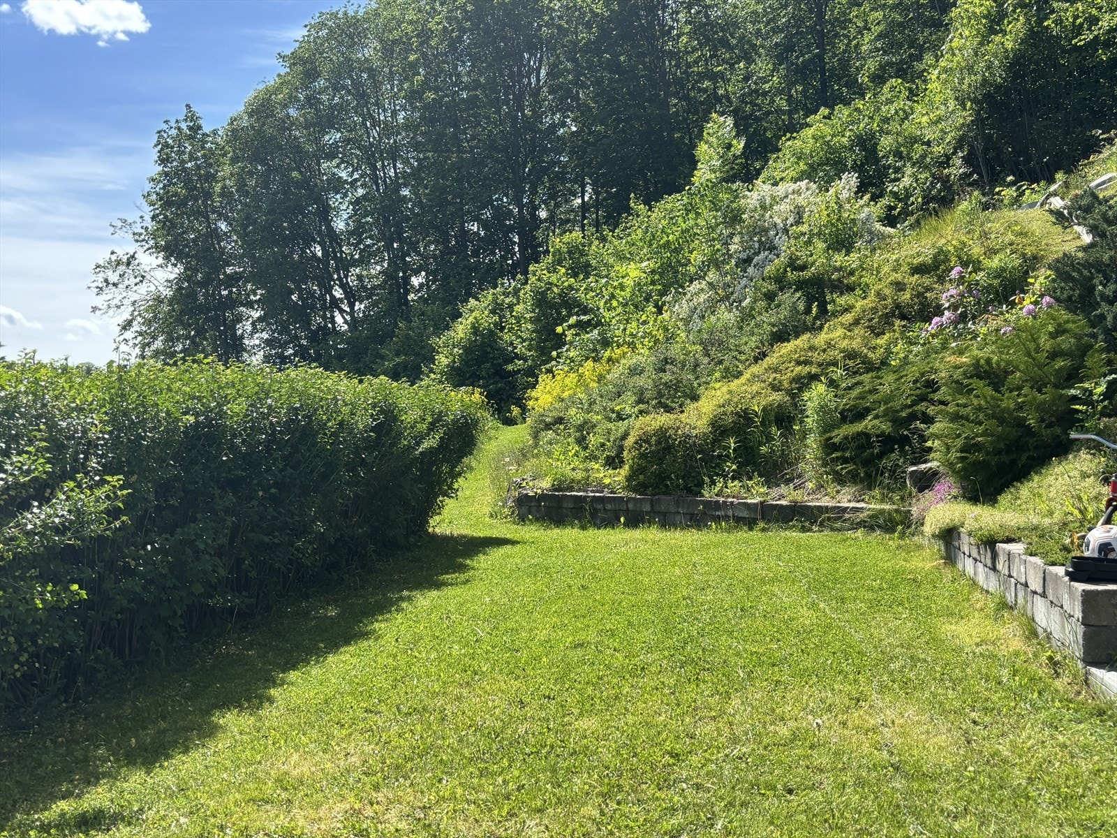 Selgers private bilder. Galleribilde
