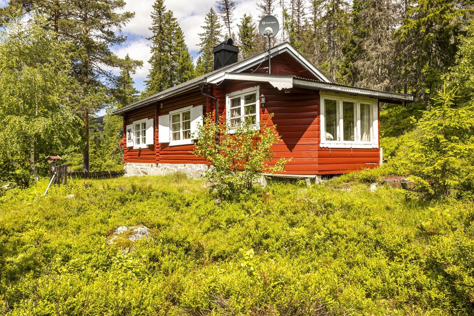 Tomten er en skrånende naturtomt. Galleribilde