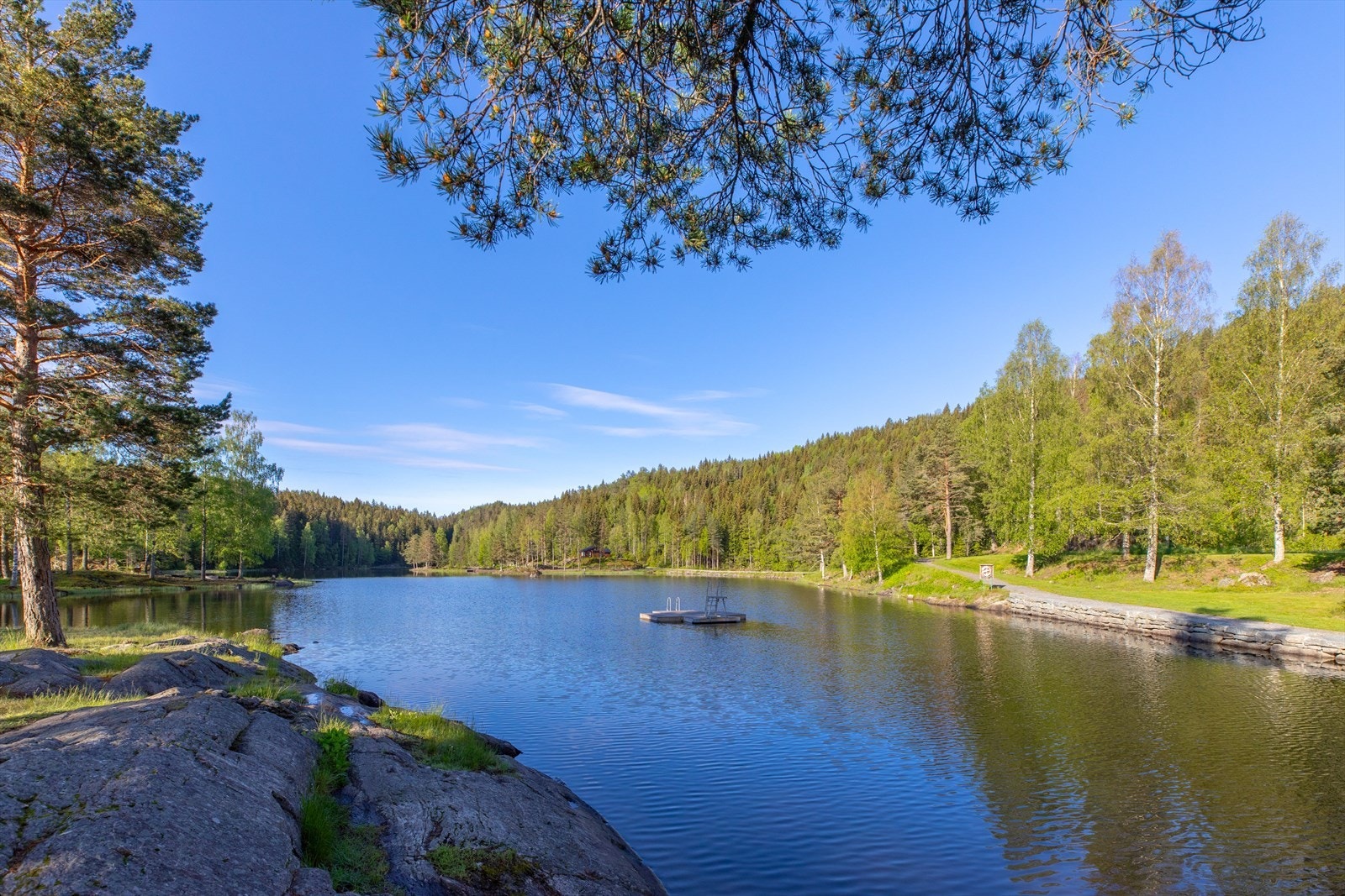 Myrdammen - naturskjønt turområde kun 8 minutter med bil fra Smedstad i Rælingen. Galleribilde