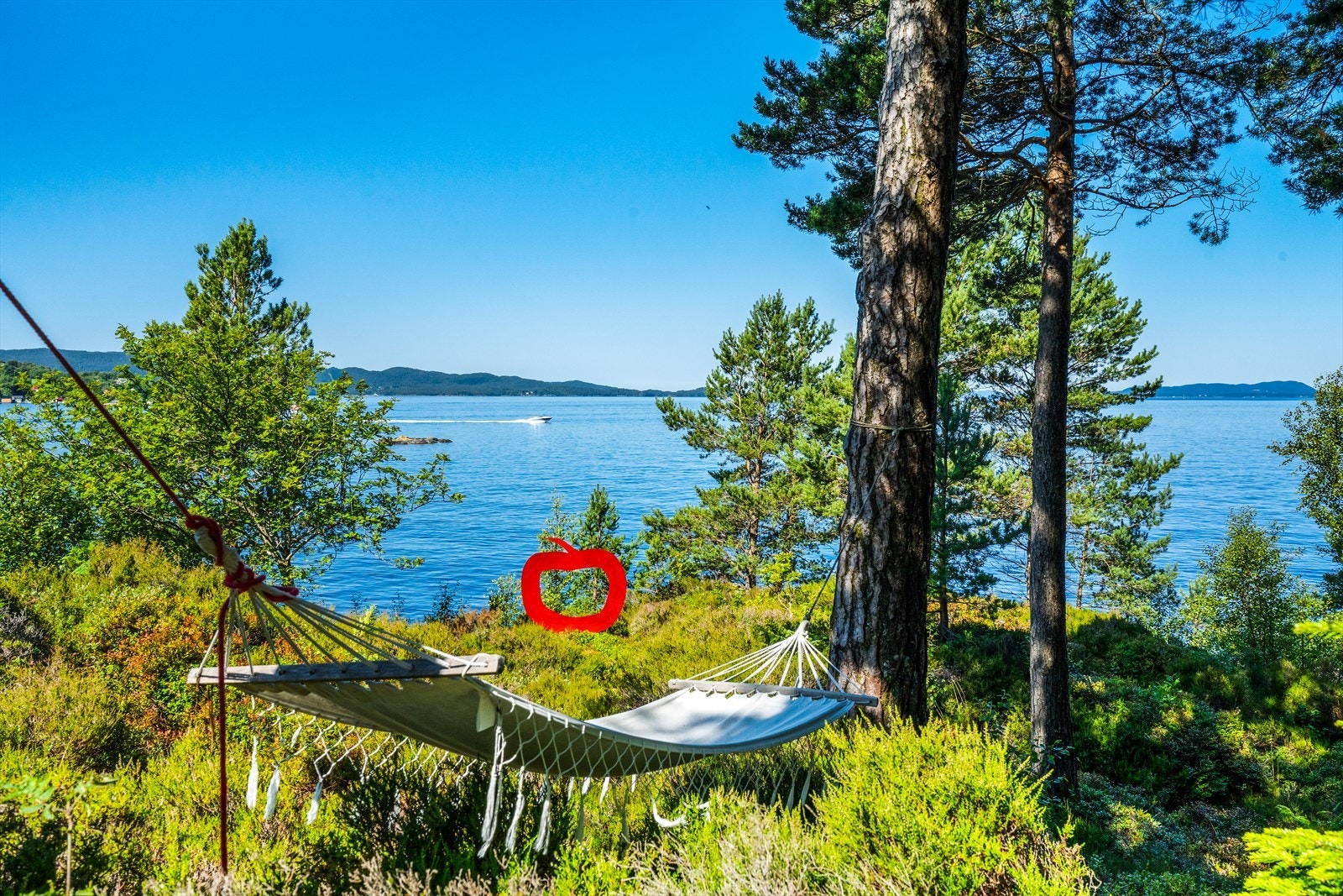 Eiendommen er på over åtte mål og byr på flott natur og pene opparbeidede parkmessige områder. Galleribilde