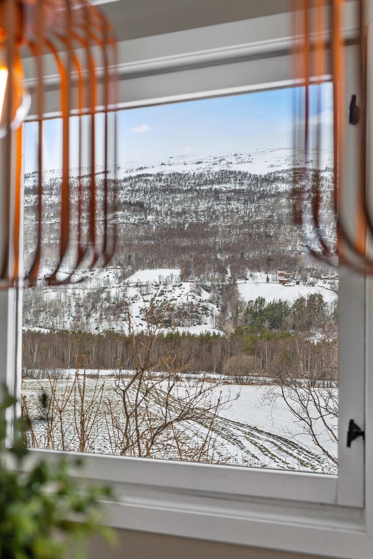 Utsikt fra stue. Galleribilde