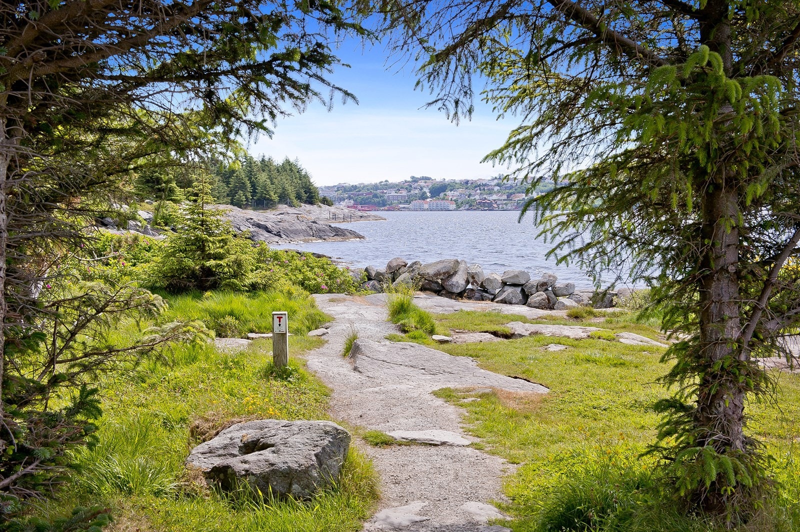 Nærområdet. Galleribilde