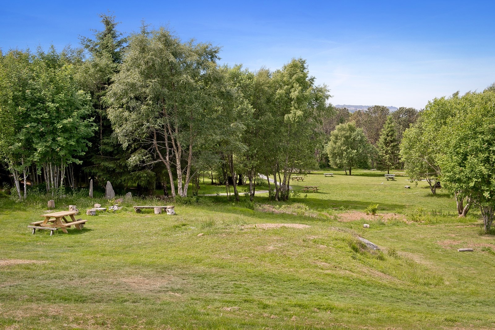 Nærområdet. Galleribilde