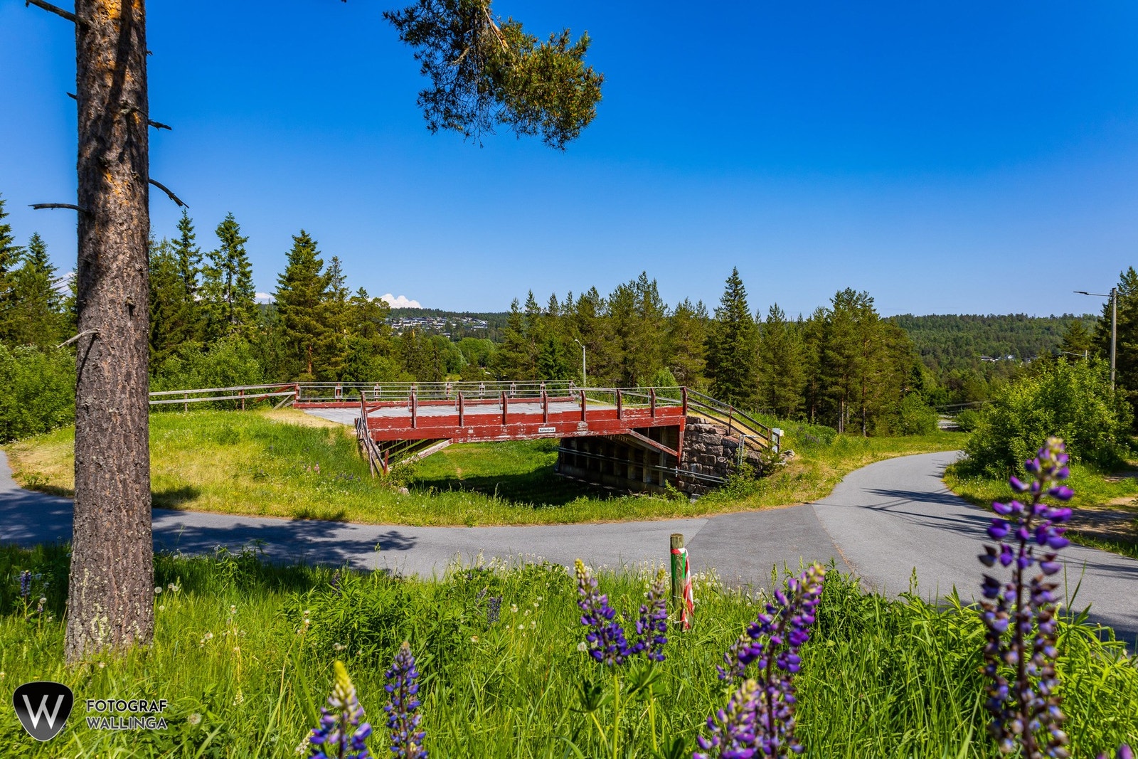 Her bor du med naturen rett utenfor døren - idylliske turstier og grønne omgivelser gir gode rekreasjonsmuligheter året rundt. Galleribilde