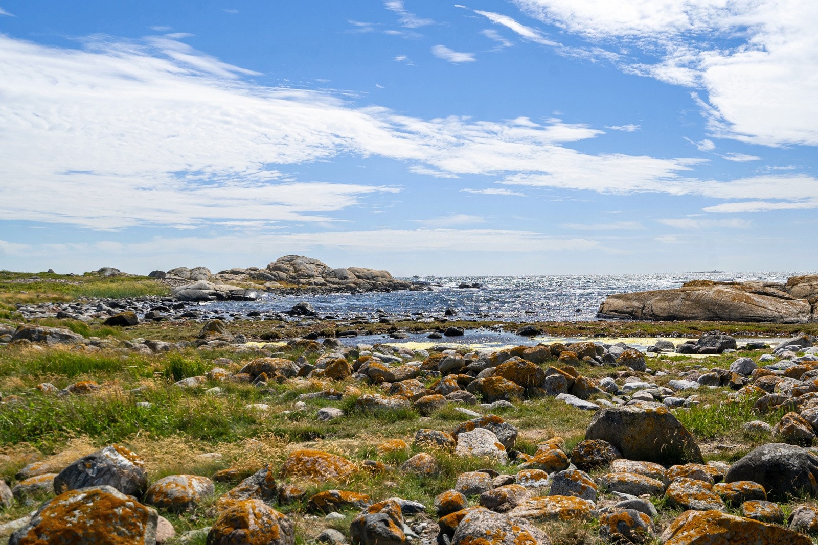 Områdebilde - Moutmarka Galleribilde