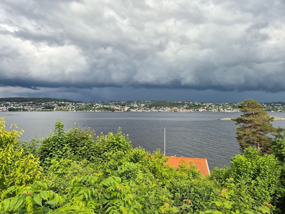 Selgers private bilde. Galleribilde