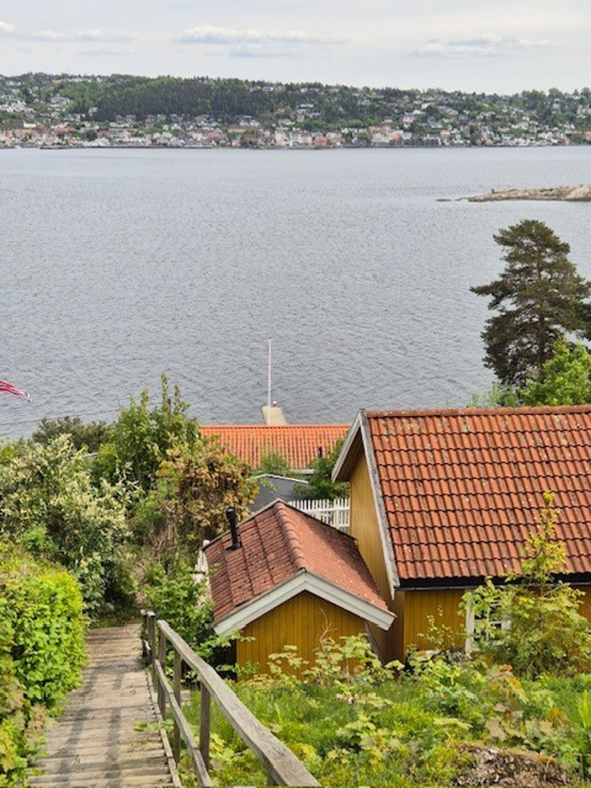 Bilde tatt våren 2025 etter at det er hugget ned vegitasjon Galleribilde