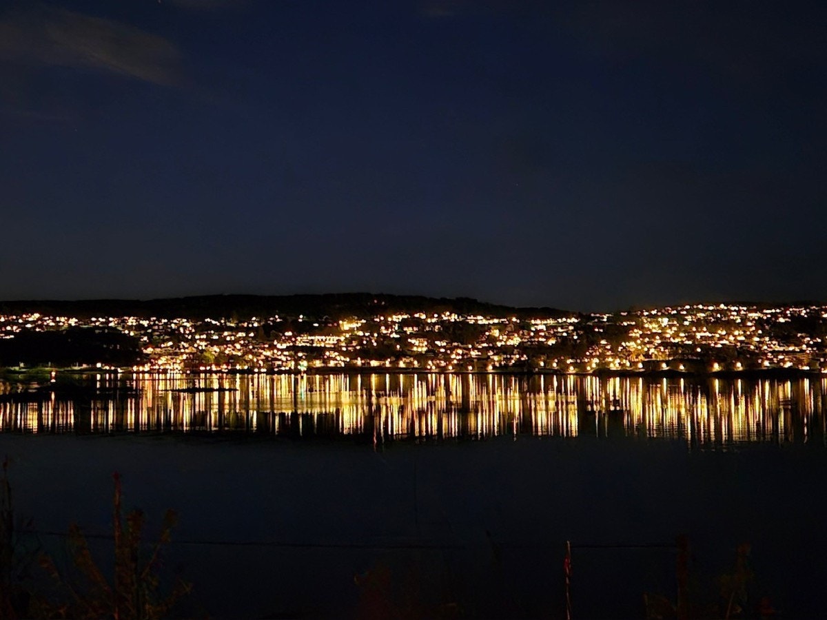 Selgers private bilde. Galleribilde