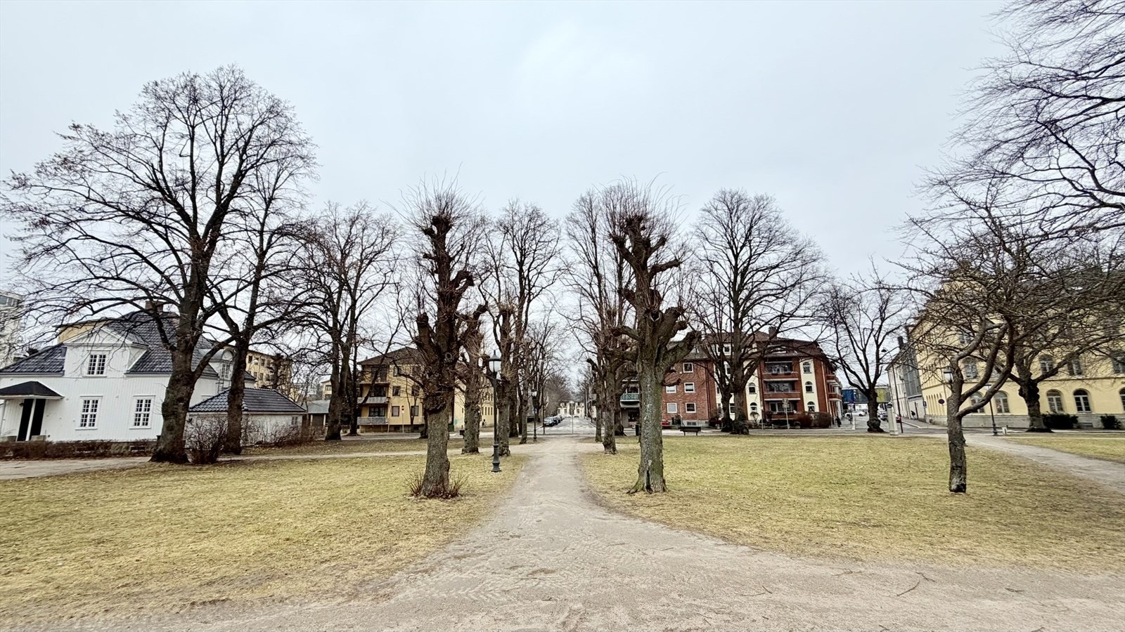 Nærområde Galleribilde
