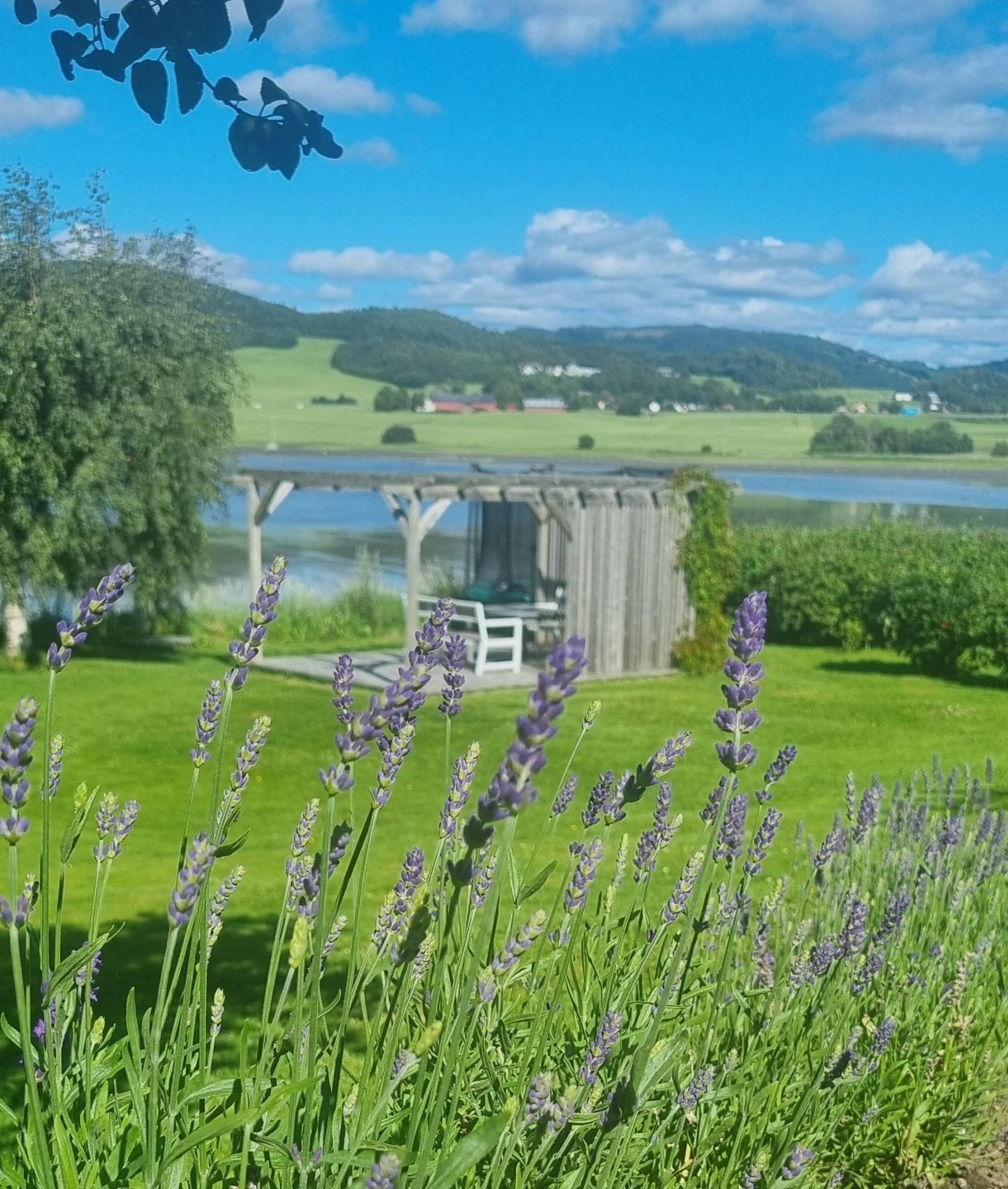 Stemningsbilder tatt av huseier følger - velkommen til visning, husk påmelding! Galleribilde