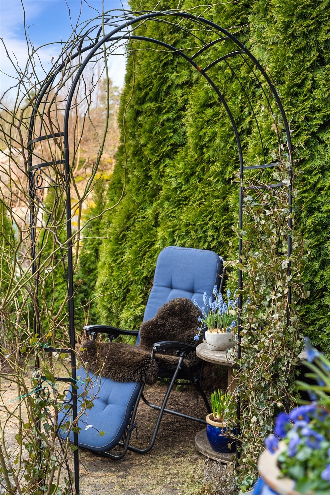 Hagen er opparbeidet med grønne hekker og gir et skjermet utemiljø. Galleribilde