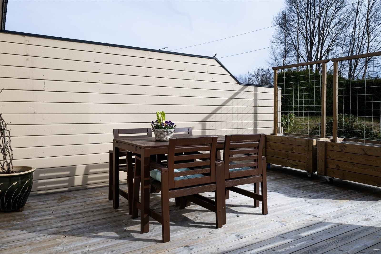 Stor solrik terrasse Galleribilde