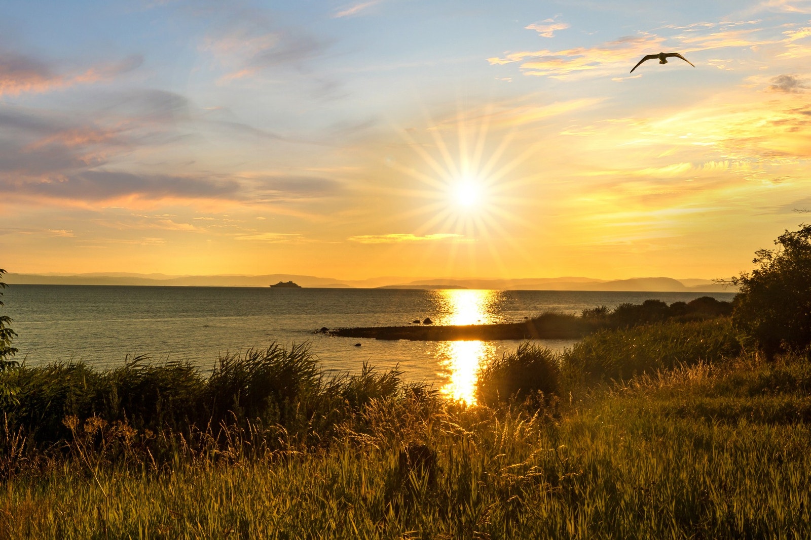 Refsnes er i seg selv av de historisk mer attraktive boligområdene Moss kan by på, først og fremst på grunn av sin beliggenhet langs fjæra helt vest på Jeløy Galleribilde