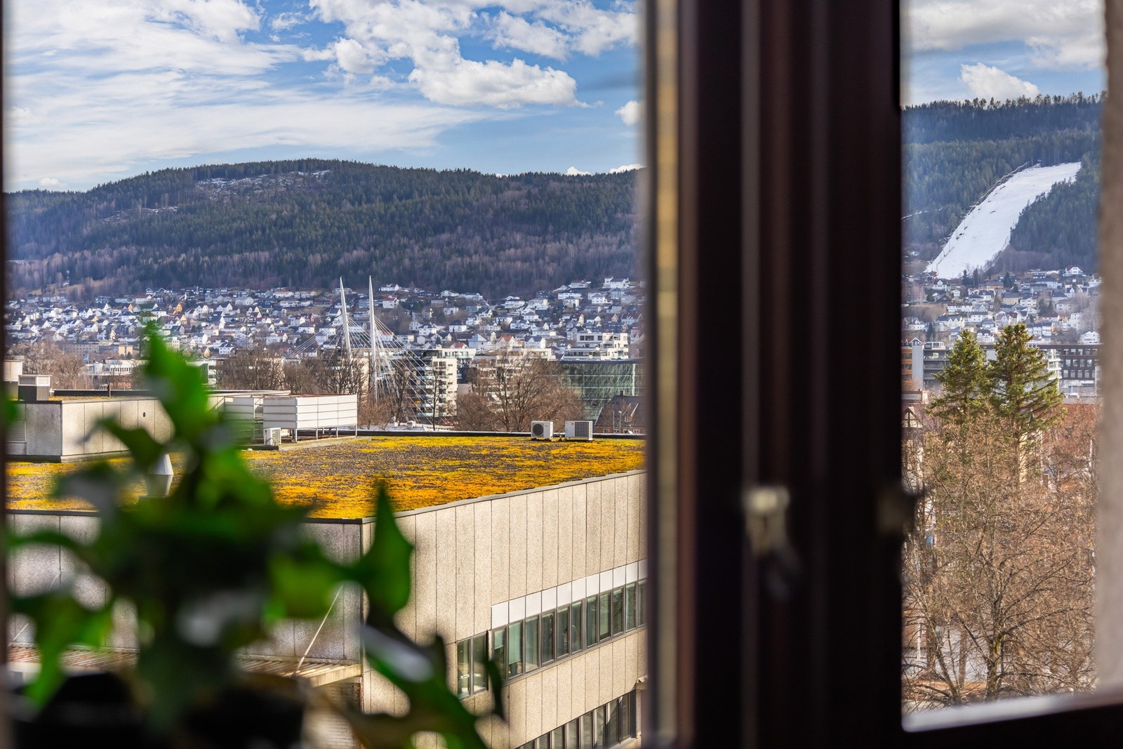 Fra leiligheten er det god utsikt mot både bebyggelse og natur Galleribilde