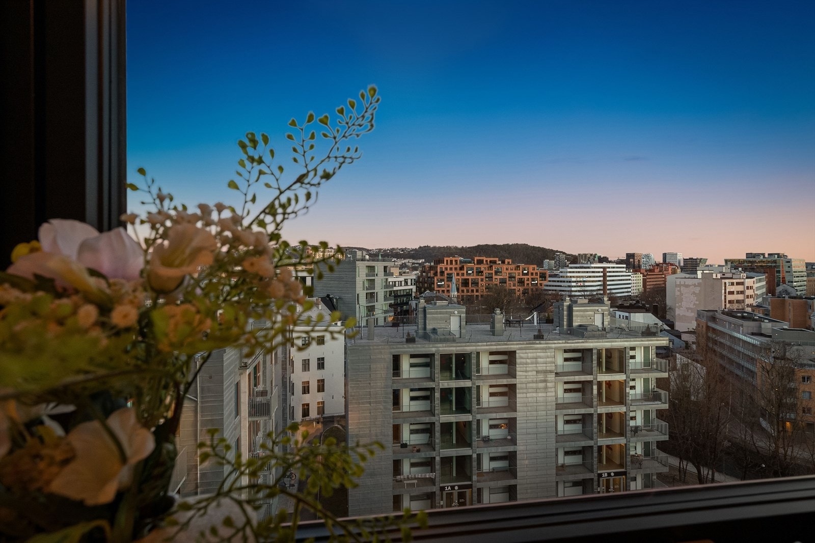 Soverommet vender mot nabolagets trivelige områder. Galleribilde