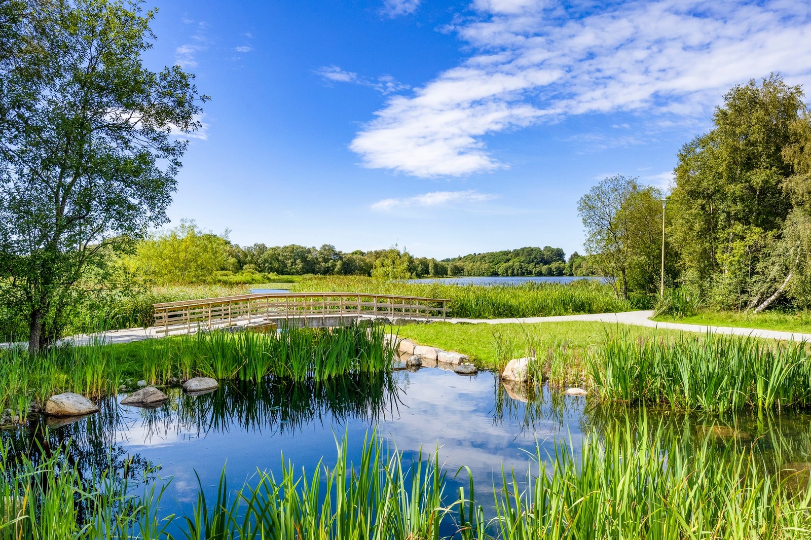 Området har stier gjennom vakkert kulturlandskap, bar- og løvskog. Her fra Lille Stokkavatnet som bare ligger få minutters gange fra boligen. Galleribilde