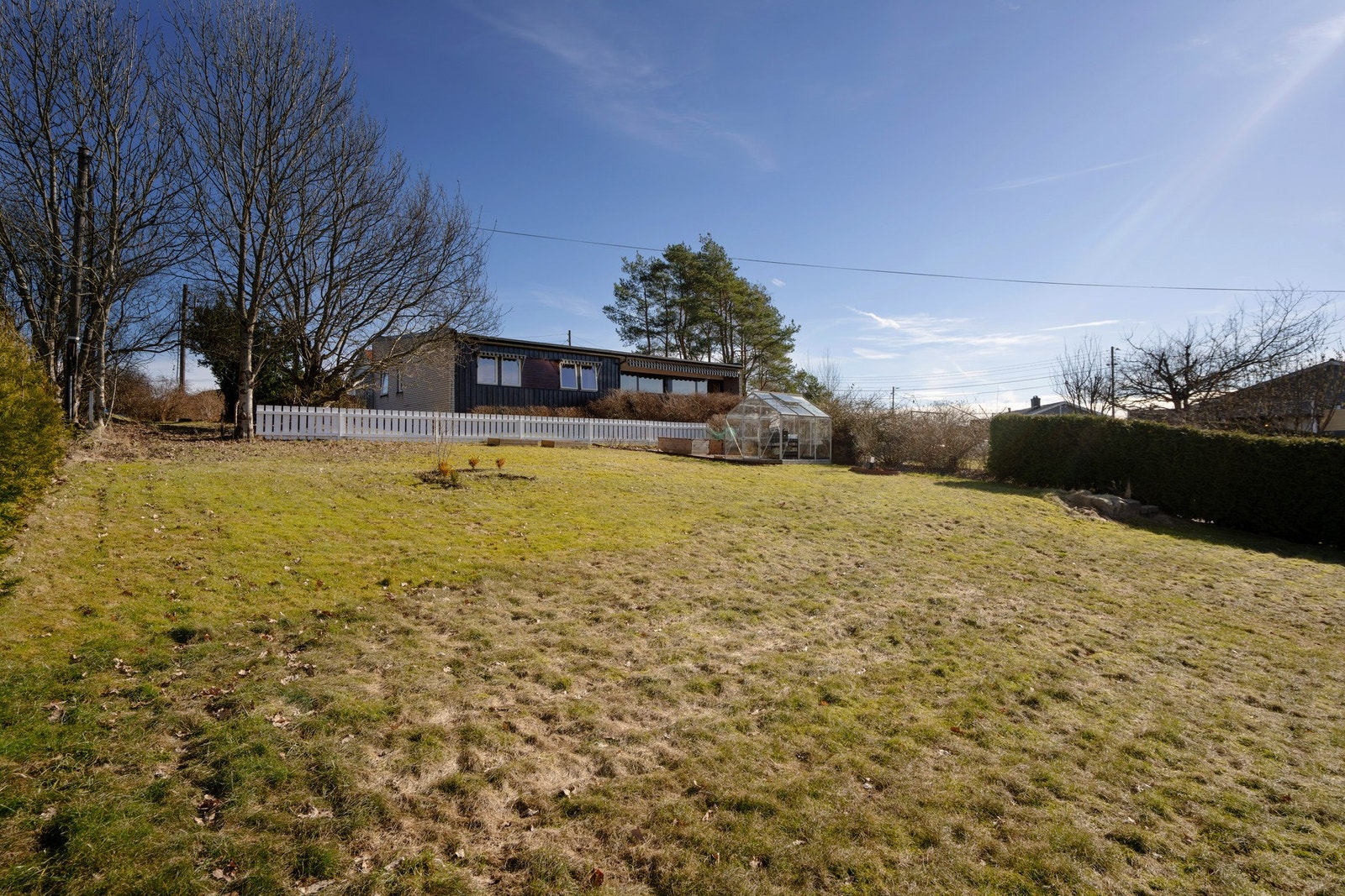 Hagen på baksiden. Galleribilde