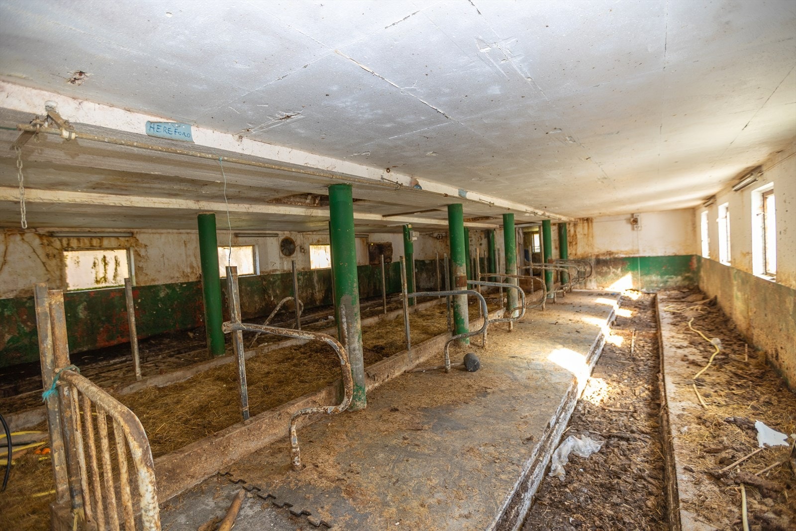 Dyrerom i driftsbygning. Vedlikehold må påregnes. Galleribilde