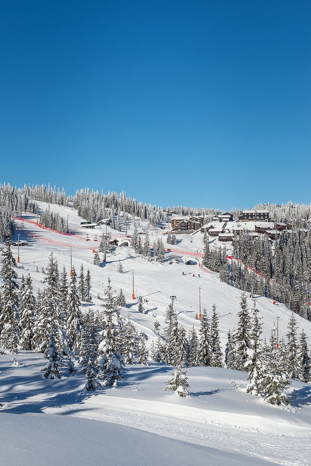 Med ski inn/ut byr Kvitfjell på løyper for alpint og langrenn som passer hele familien. Galleribilde