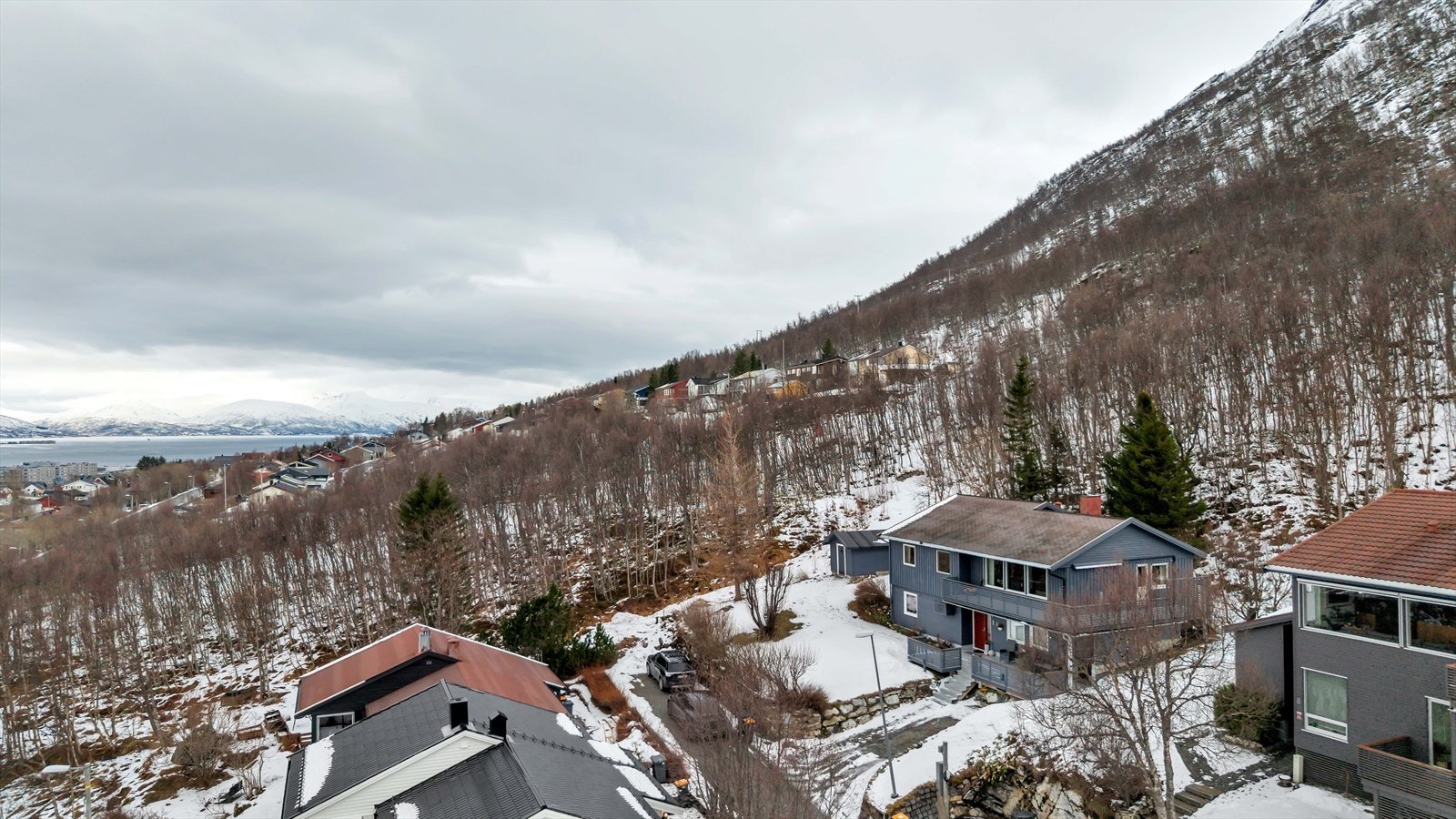 Oversiktsbilde Galleribilde