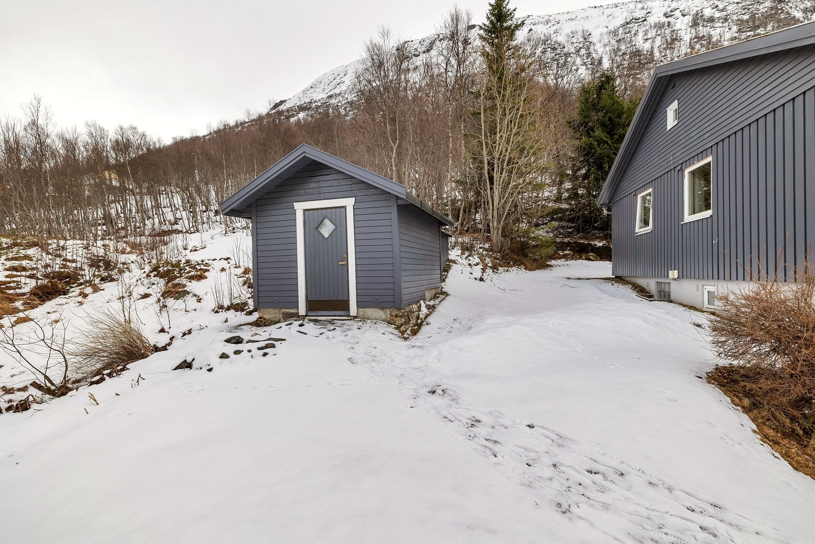 Frittstående redskapsbod Galleribilde