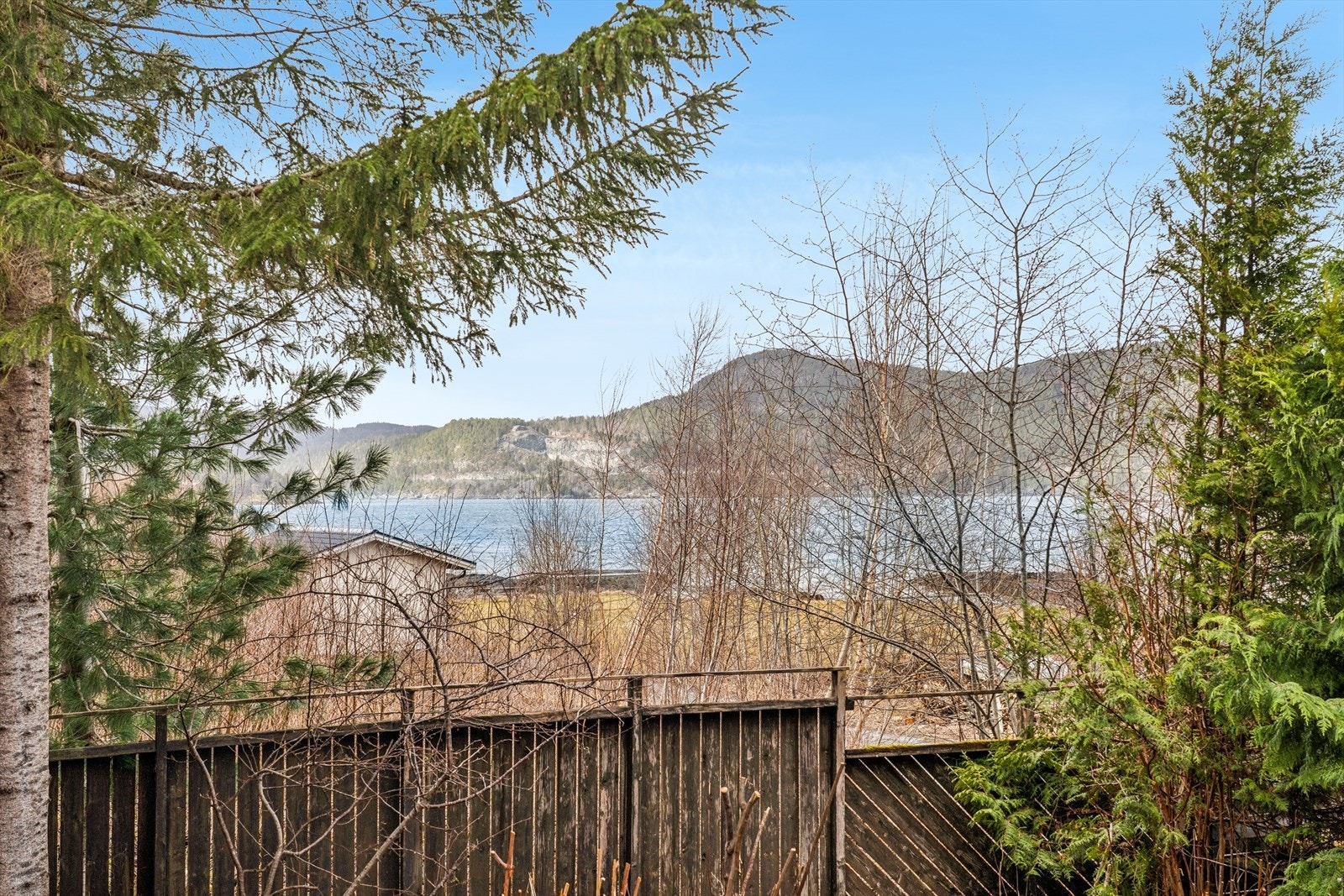 Uteområde ved hytteveggen med naturtomt og skjerming. Galleribilde