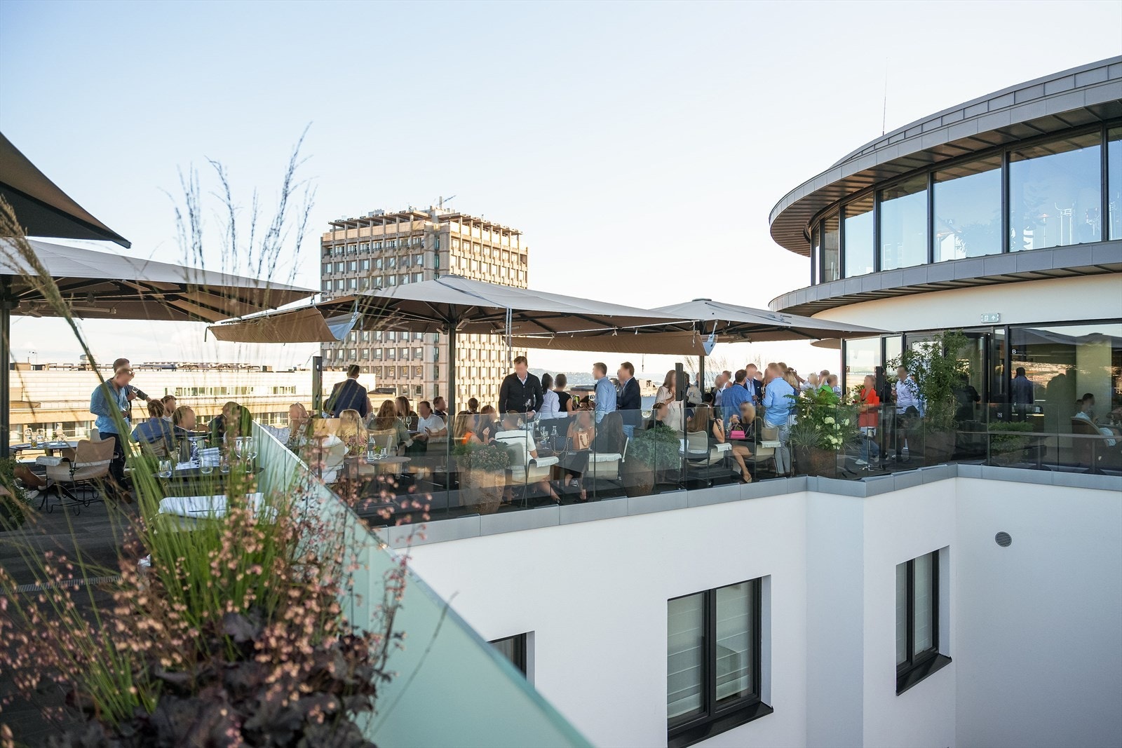 Takterrassen på sommerro. Galleribilde