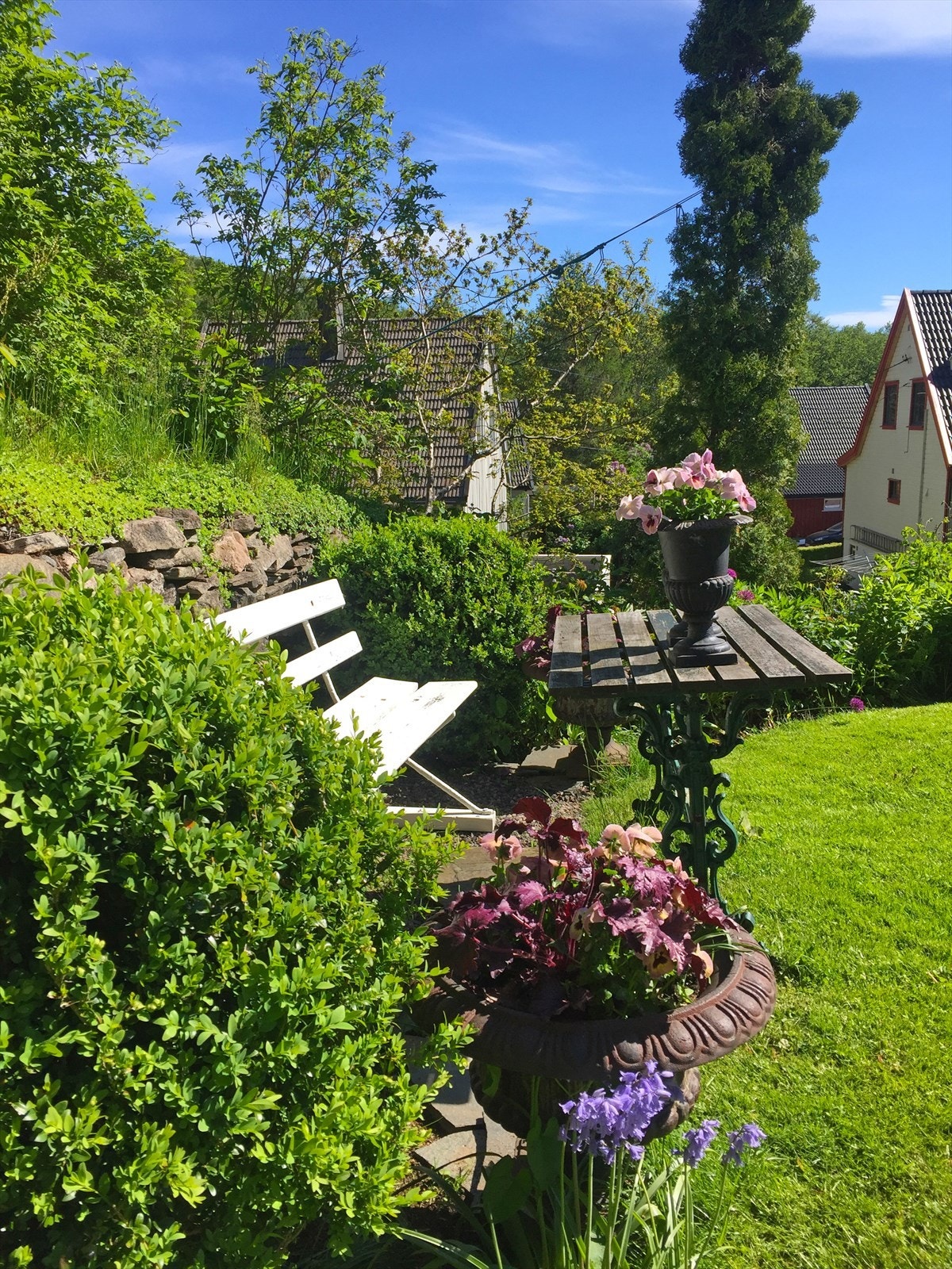 Sommerbilde fra hagen. (Selgers bilde.) Galleribilde