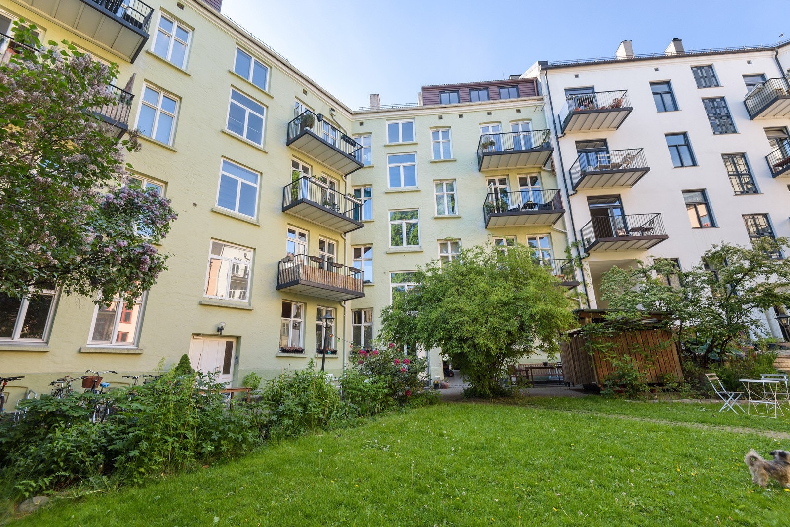 - Plen, planter, busker og trær - Galleribilde